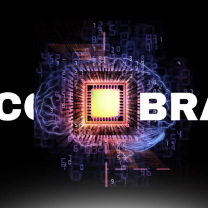 Second Brain System